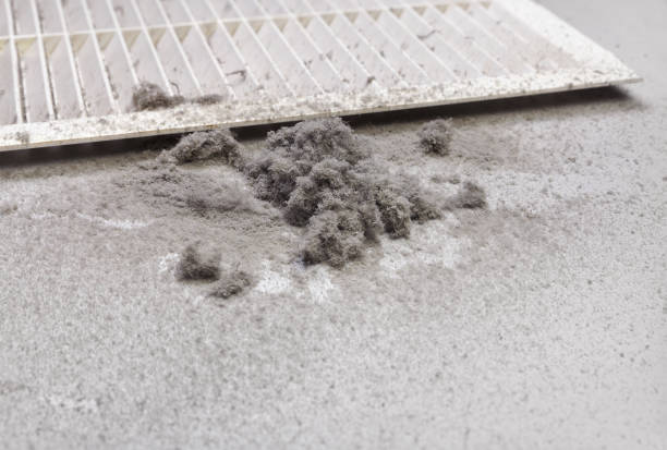 Best Air Duct Cleaning Near Me  in Blakely, PA