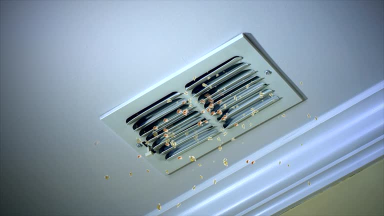 Best Affordable HVAC Duct Cleaning  in Blakely, PA