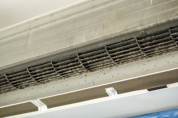 Best Ventilation Cleaning Services  in Blakely, PA